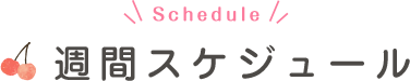 週間スケジュール
